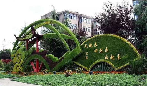 胶州绿雕定制造价 终身养护 上门施工 潍坊三禾农业