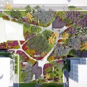 园冶杯专业奖:合肥市肥西滨河公园景观绿化工程设计