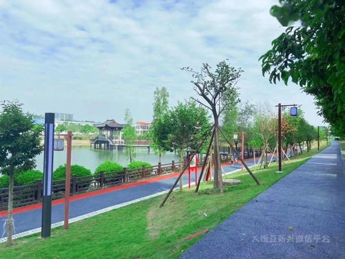 大变样 越王湖改造后美翻了