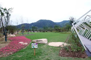 余杭径山花海景观提升工程项目顺利通过竣工验收