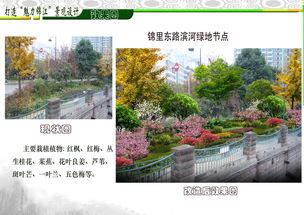 滨河路绿化效果图