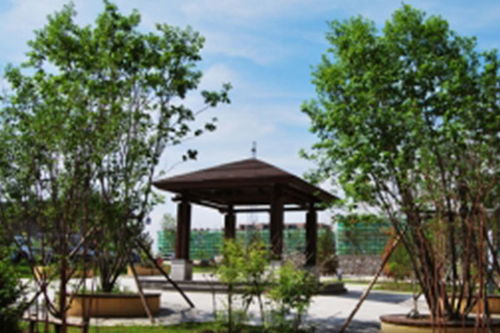 别墅庭院景观 双鸭山别墅庭院景观施工图 博艺园林集团