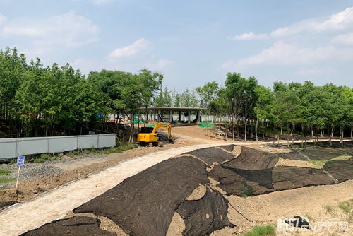 政务区2.6公里生态长廊来了 新汴河景区戚家沟景观设计施工一体化工程项目开建