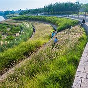 安徽省霍邱县水门塘公园景观工程设计