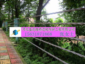 生产供应商厂家 今日行情价格走势 报价 河北盛达路桥边坡防护工程有限责任公司
