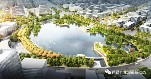 九龙湖近600亩大型景观工程即将启动，您期待吗？